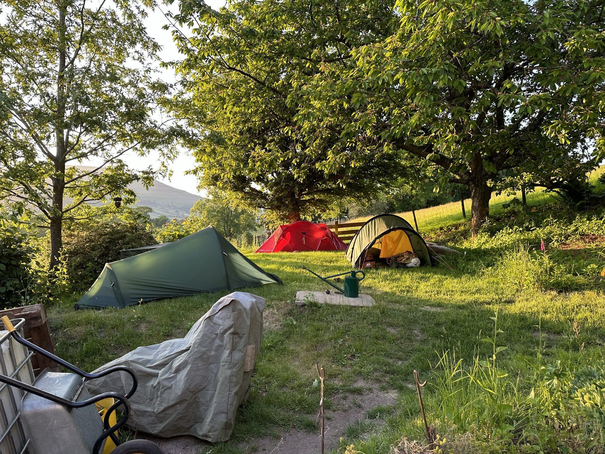 Friends&rsquo; tents pitched on the lawn beneath the cherry tree on a summer evening, the cottages and valley beyond