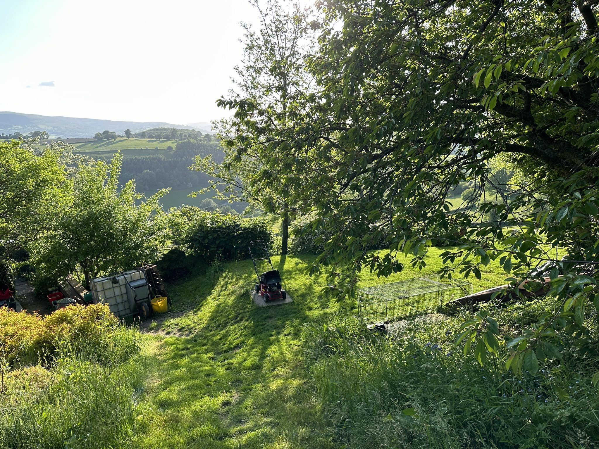 The garden and lawn at Pengilfach in evening light, the mower at rest under the cherry tree and the valley beyond