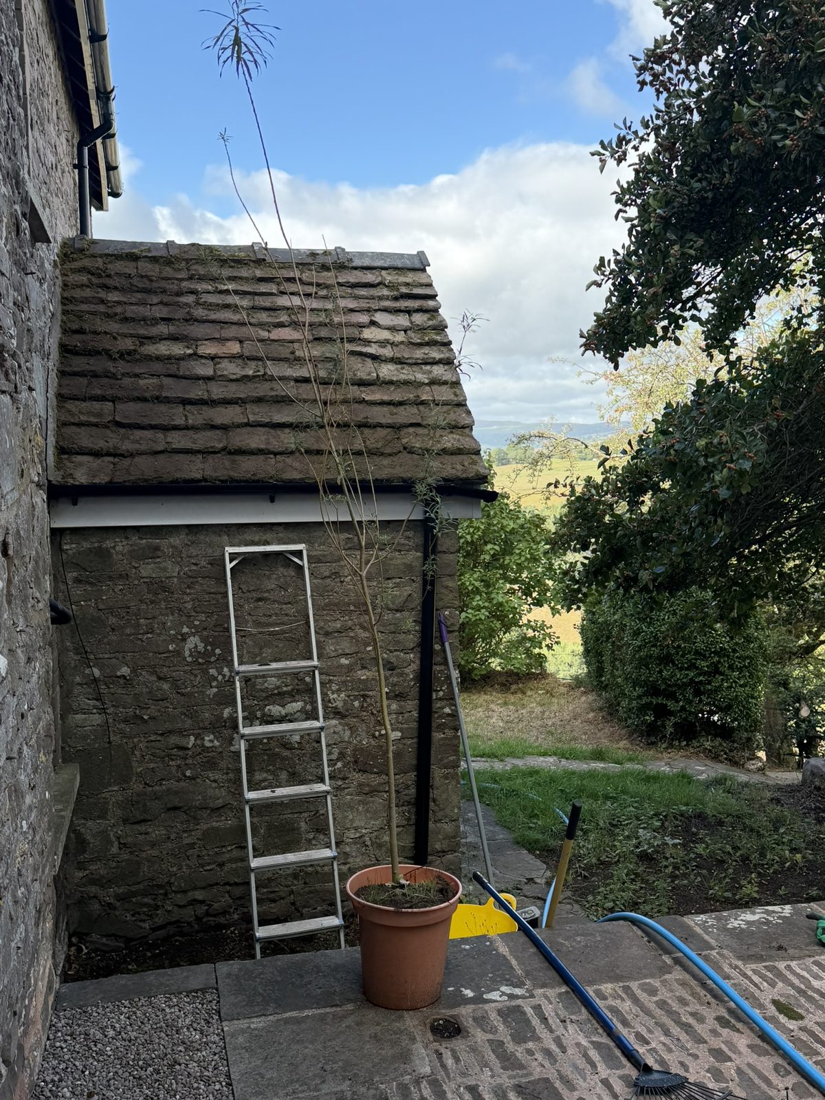 The stone tiled roof of the porch at No. 2, the thick carpet of moss cleared off at the first stage, a ladder, broom and trug set out to brush down the stubborn bits