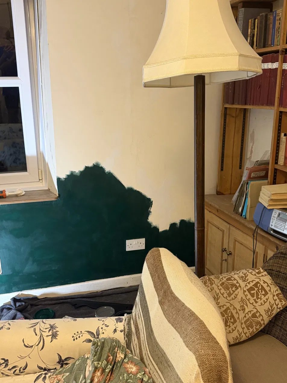 Deep matt green paint being rolled onto the lower half of the sitting-room wall, beside the window and bookcase, with a floor lamp and armchairs