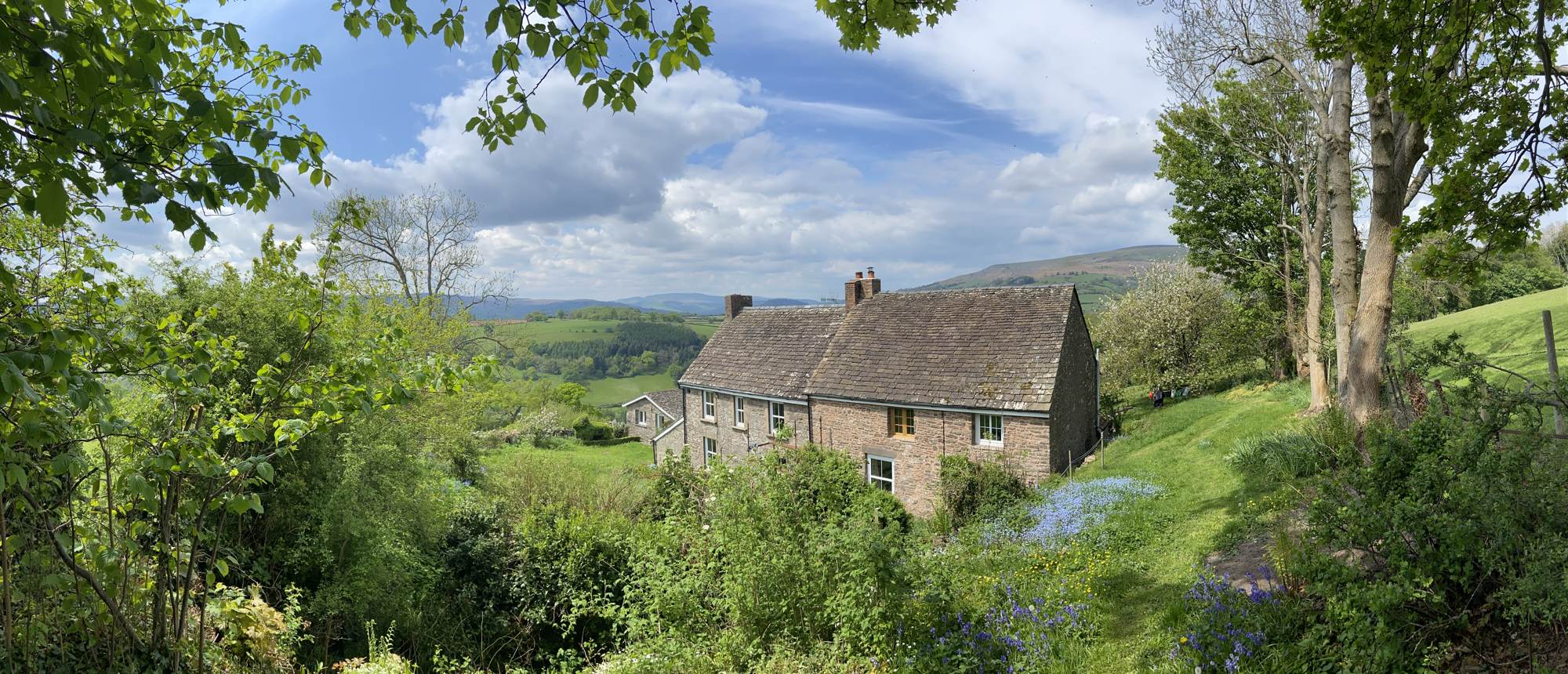 Panorama of Pengilfach, May 2022