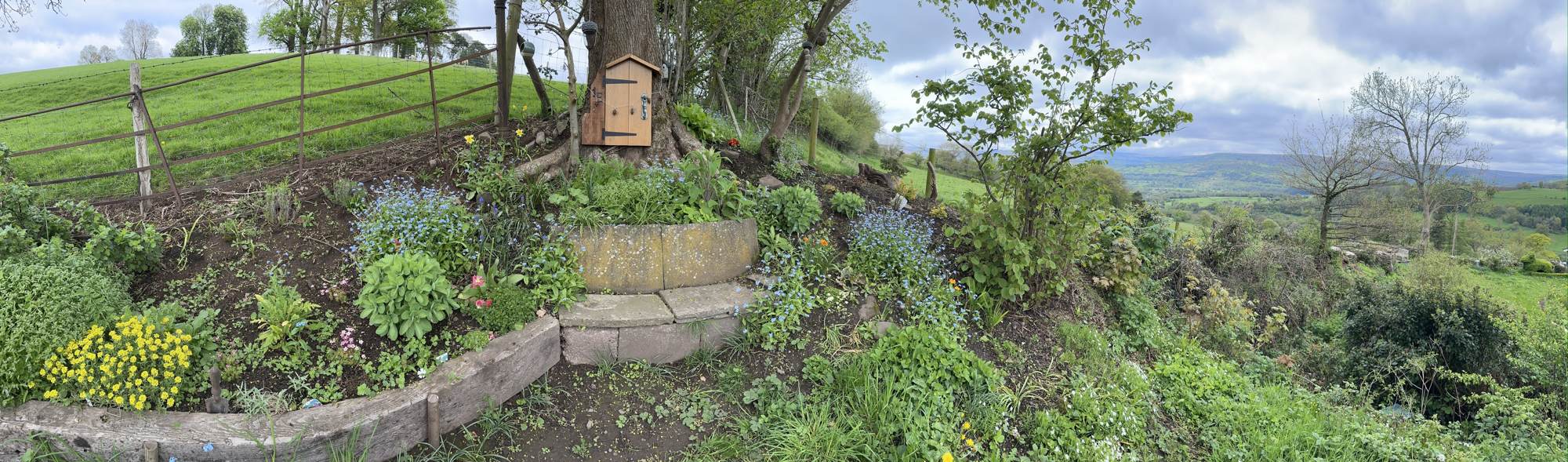 Panorama of Pengilfach in May 2023, with the door-in-the-tree at 1e set in Edmund's own little garden