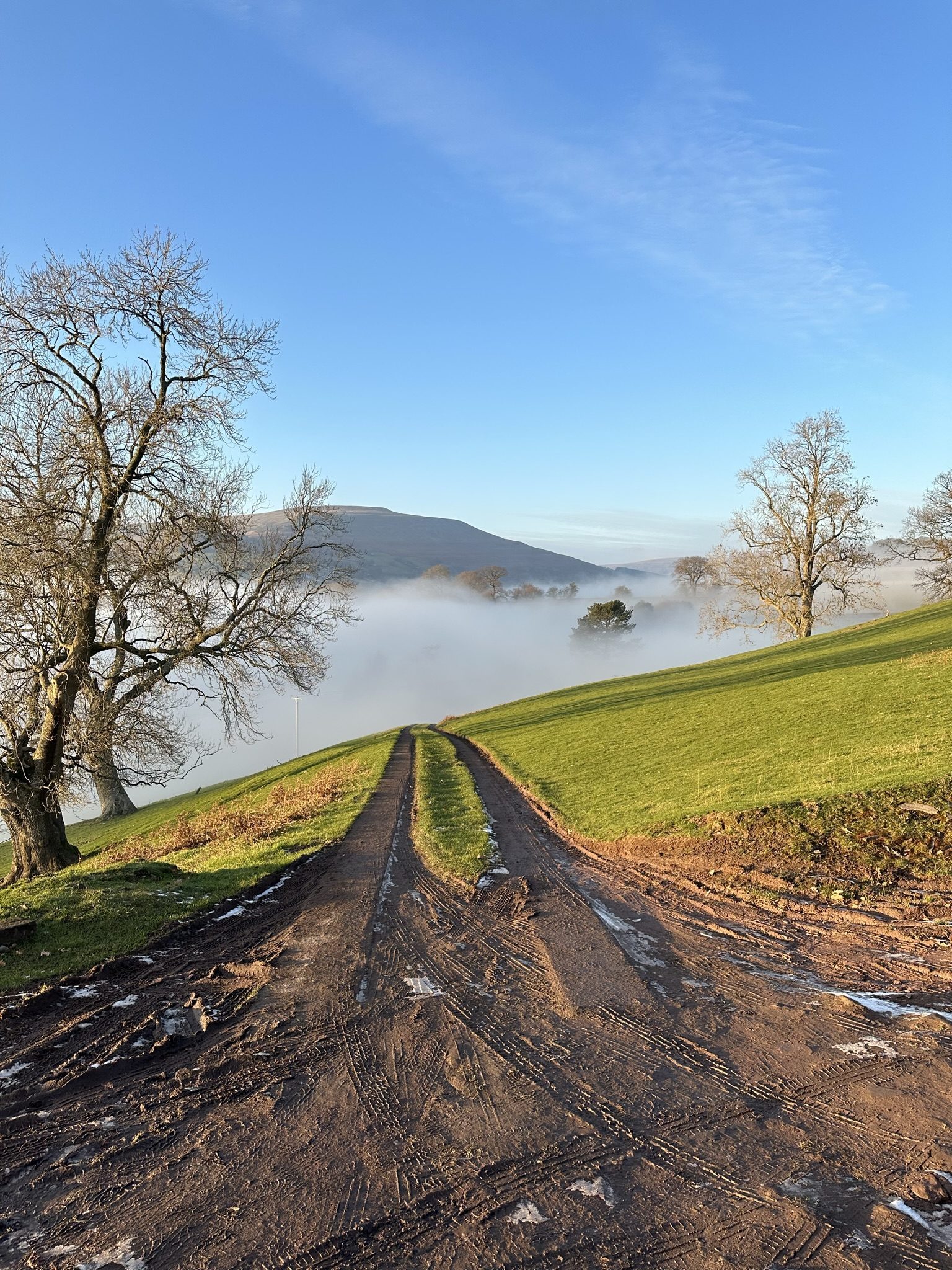 The track climbing up to Pengilfach Cottages on a frosty morning, mist filling the valley and the hills beyond