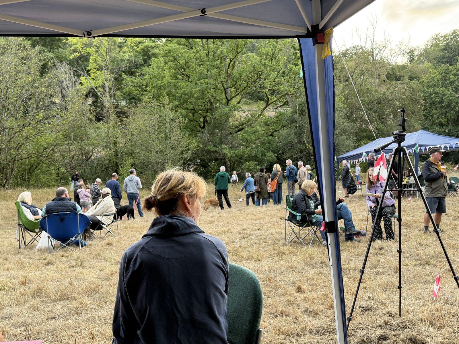 Villagers gathered in a field for a party, seated in camp chairs and standing in groups under gazebos, woodland behind
